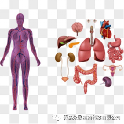 “说不清道不明”的内脏痛