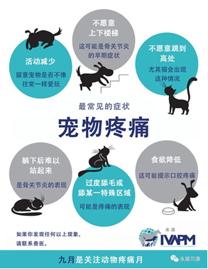 宠物疼痛最常见的症状