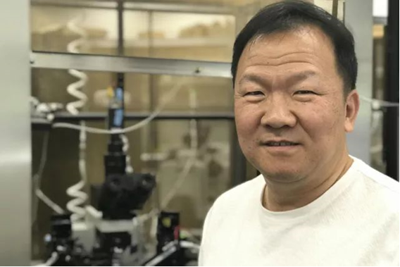多伦多大学研究： 大脑额叶可能参与慢性痛
